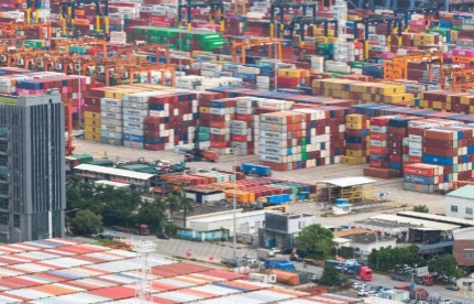 石家莊機(jī)場(chǎng)海關(guān)查獲象牙制品